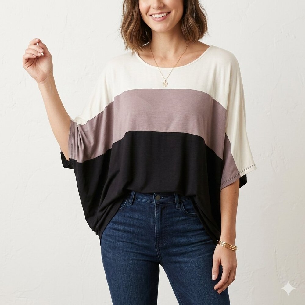RAE MODE Colorblock Top Neutral Minimalist Chic Tee Oversized